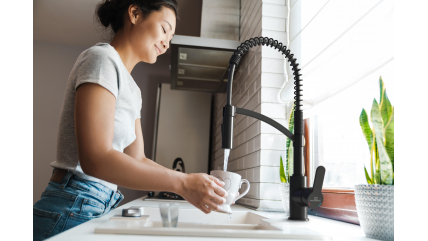 Kitchen faucet WK 3 Black, spiral spring, 2 jet types