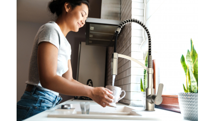 Kitchen faucet WK 3 stainless steel look, spiral spring, 2 jet types