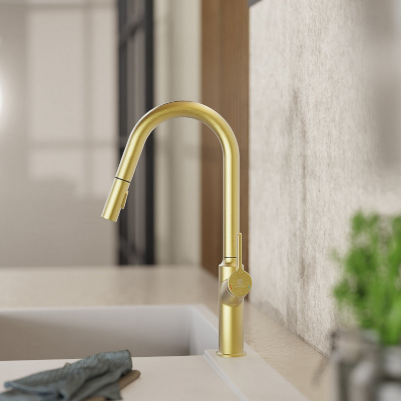 WK 12 in gold look, Kitchen Faucet with curved spout and pull-down spray